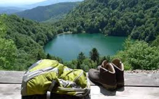 Traditional Chalet in Sapois Vosges With Balcony