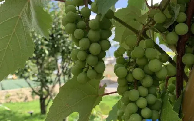 Yishan Banye Homestay (Longqi Wharf Branch)