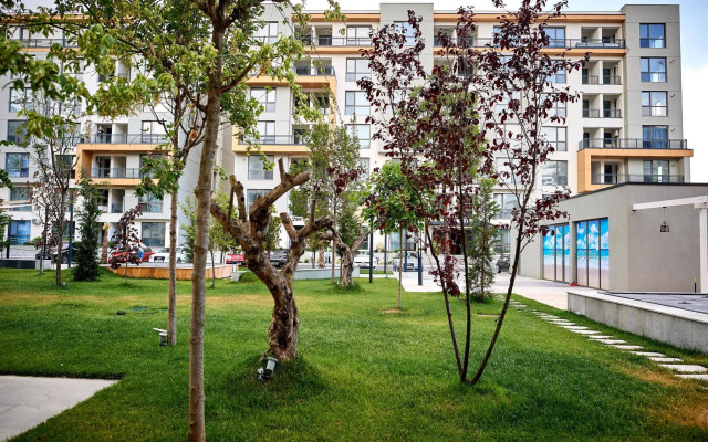 Onix Mamaia