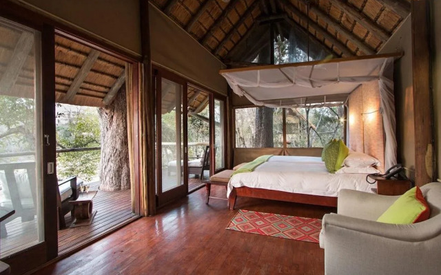 Plains Camp @ Rhino Walking Safaris