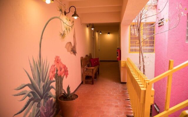Cactus Hostel