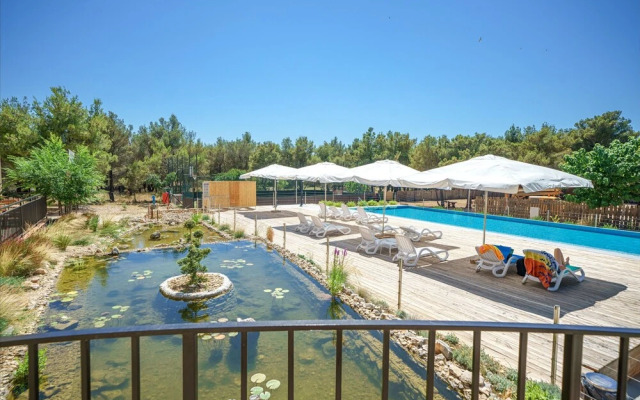 Cozy Park View Room With Breakfast Included