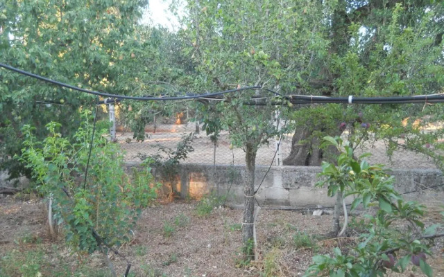 Villa Conte in Salento