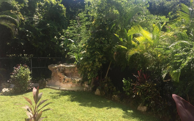 Green Oasis Home Boutique