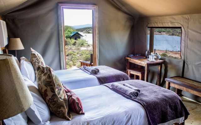 Buffelsdrift Game Lodge