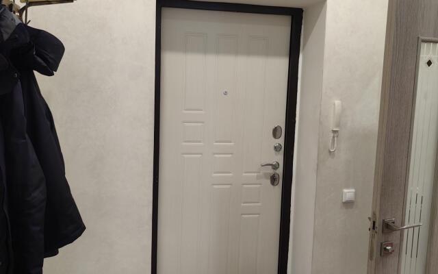 Apartments on Michurinskaya street 213G