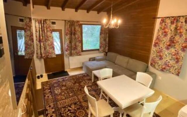 Persey Villa Borovets