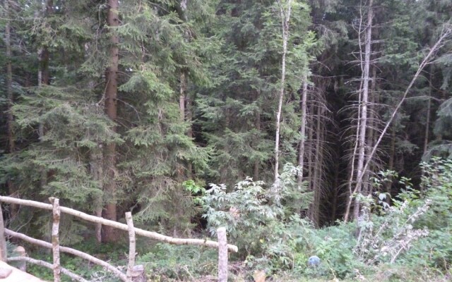 Yourte Les Bruyères de Gaschon