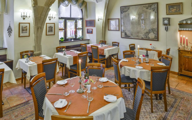 Hotel Cerny Slon