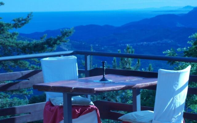 B&B Le Camelie Del Bosco