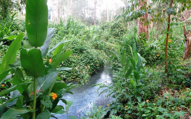 Bosques del Llano