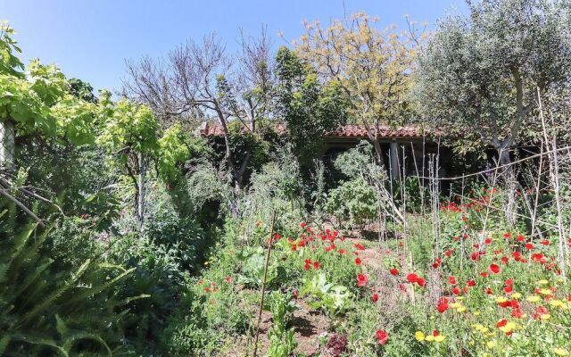 Guincho Garden Villa II by Homing