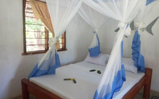 Mangrove beach bungalows