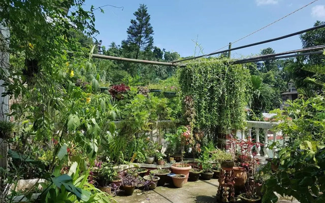 Vamoose Madhumita Homestay