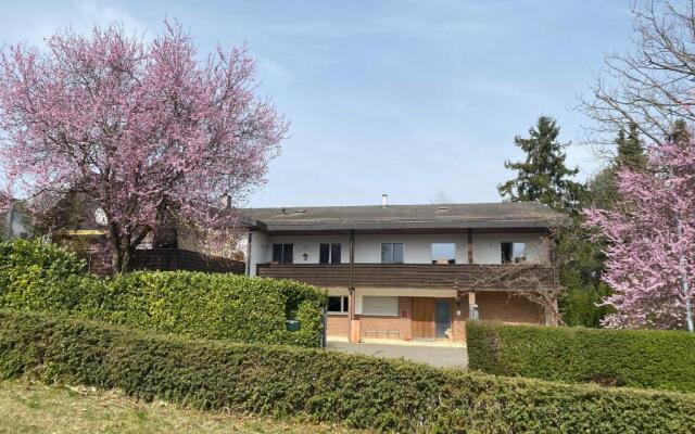 Apartments in Leafy Suburb