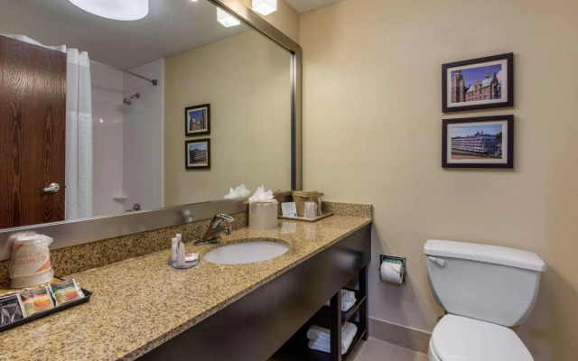 Comfort Inn Horn Lake - Southaven