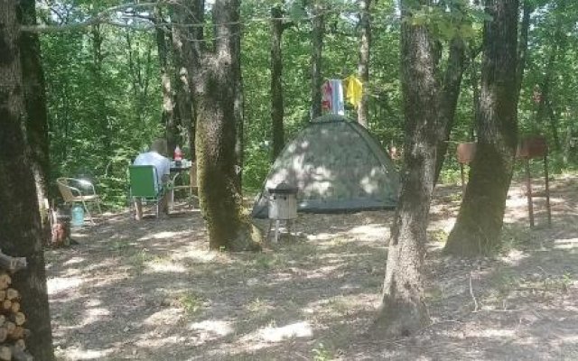 Camping Gorizont