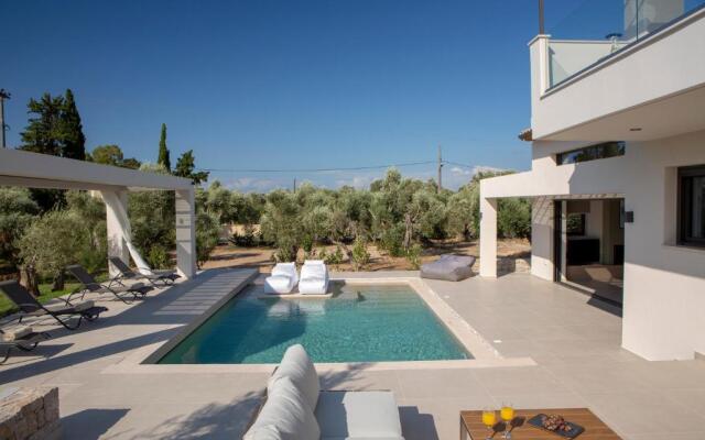 olive green villas