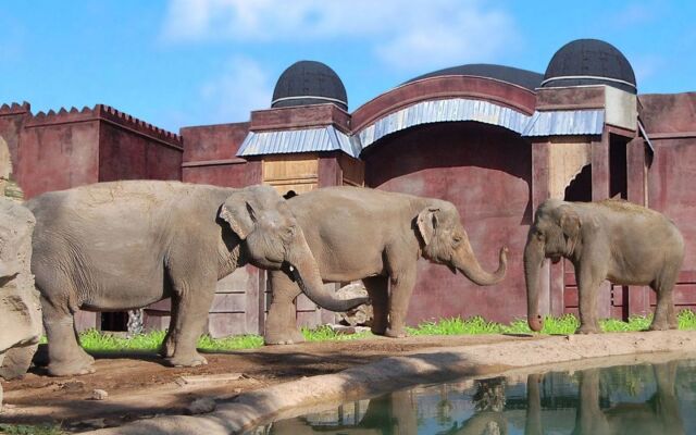 Magic Natura Animal, Waterpark & Polynesian Resort