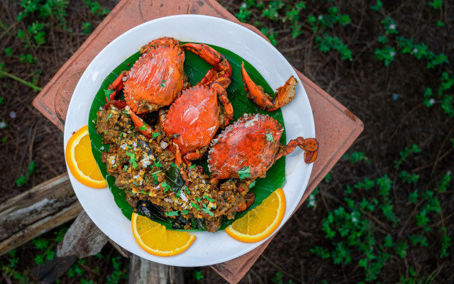 Lotus an Eco Beach Resort Dapoli Murud