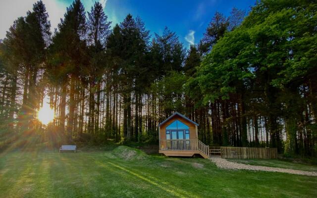 Cabin In The Woods - 1 Bed - Kilgetty