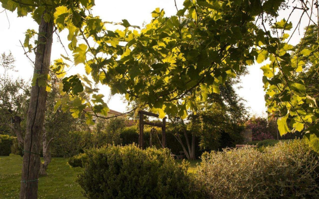 Agriturismo Podere Turicchio