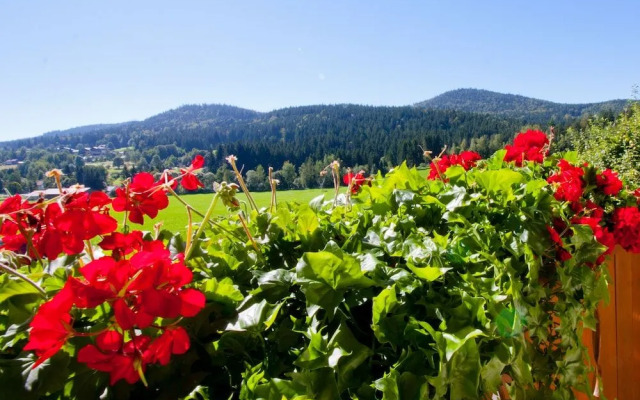 Wandern Und Wohlfa 1 4 Hlpension Schuasterhof