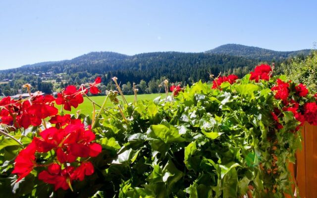 Pension Schuasterhof