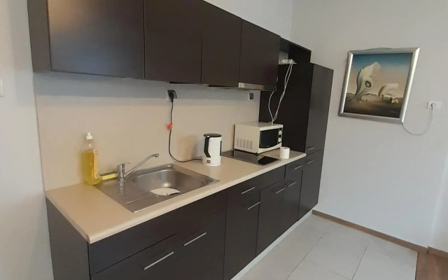 Luxury apartment Piękna