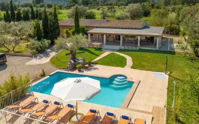 Selva-3834 Mallorca