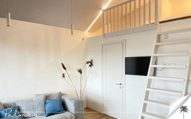 Palmes.pirmas.sezonas