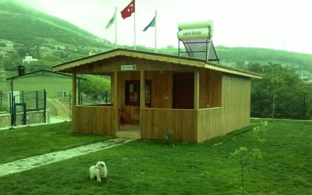 Varlibas Uyku Sarayi