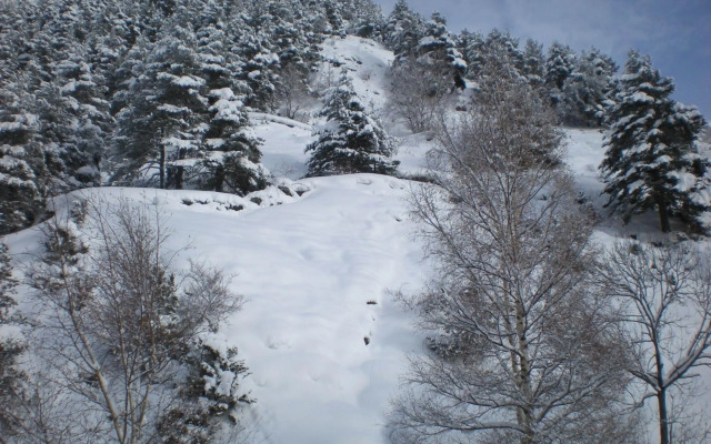 Hotel Montane
