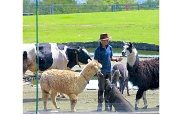 Papurika hotel desu - Vacation STAY 27548v