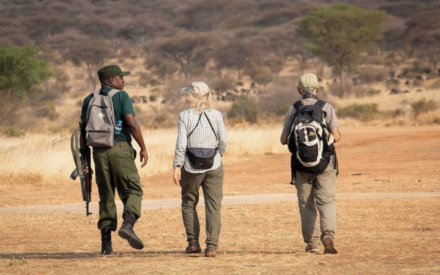 Tarangire Greenland Retreat