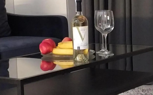 NEW modern apartment