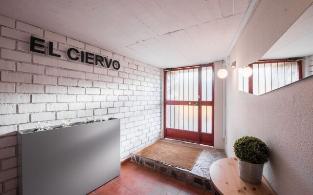 Hostal El Ciervo