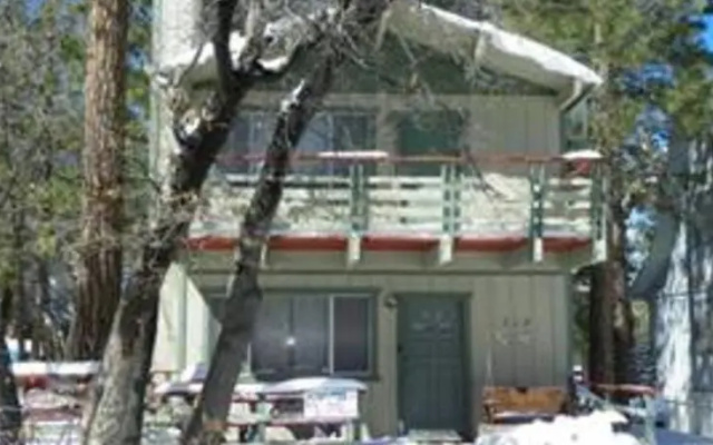 RedAwning Sugar Bear