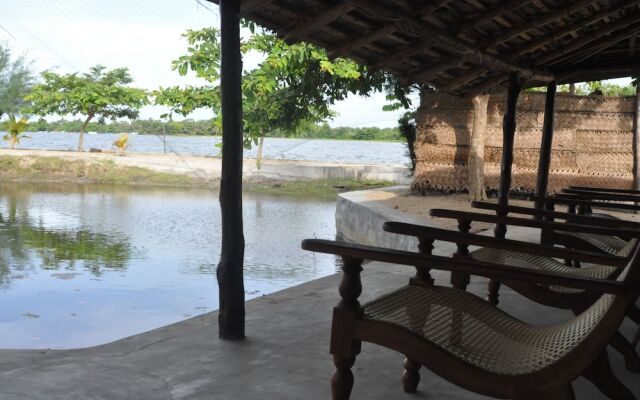 The Cove Pasikuda