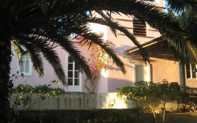 Montofoli Wine Estate
