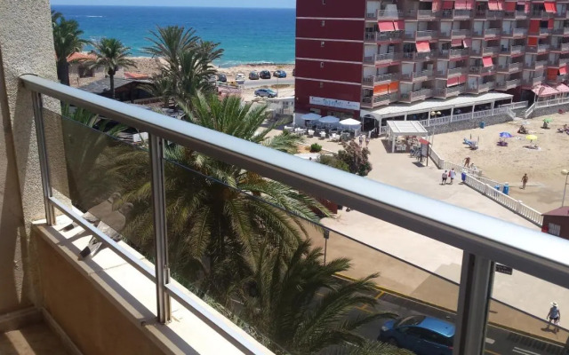 Palmeral de Torrevieja