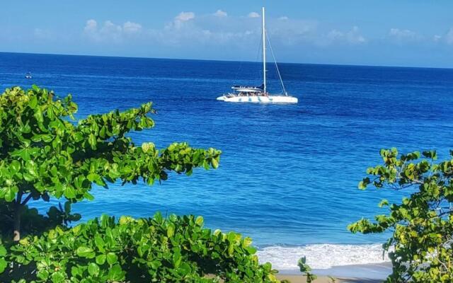 Ocean Front Two Bedroom Penthouse