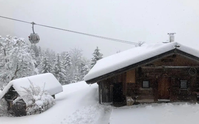 Wölzenberg Alm