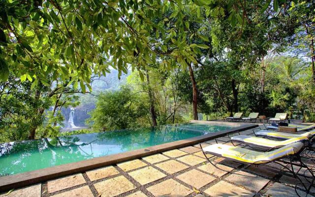 Rainforest Boutique Resort