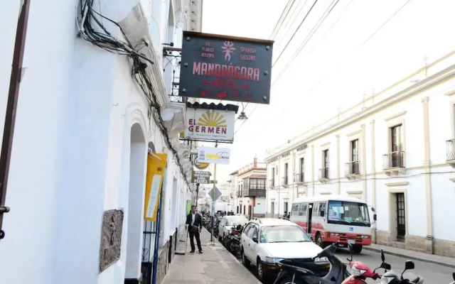Mandragora Hostel