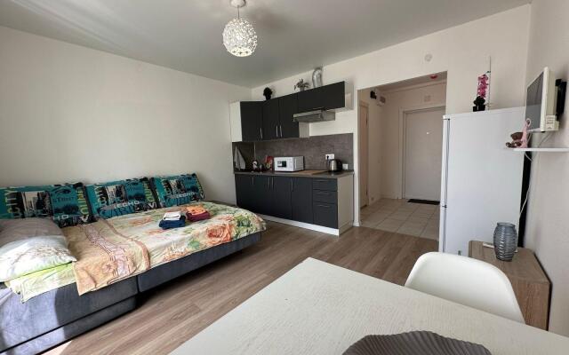 Apartments On Ryabinovaya Street