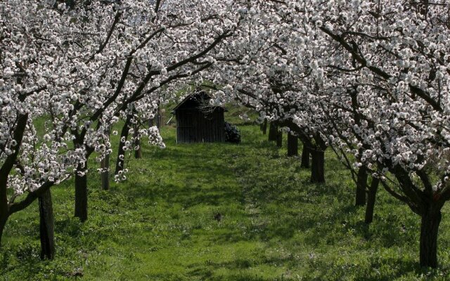 Landhotel Donautalblick