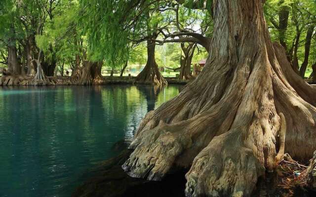 Anaya & Rodriguez Shop - Hostel