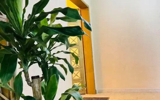Exhibition Hall B&B