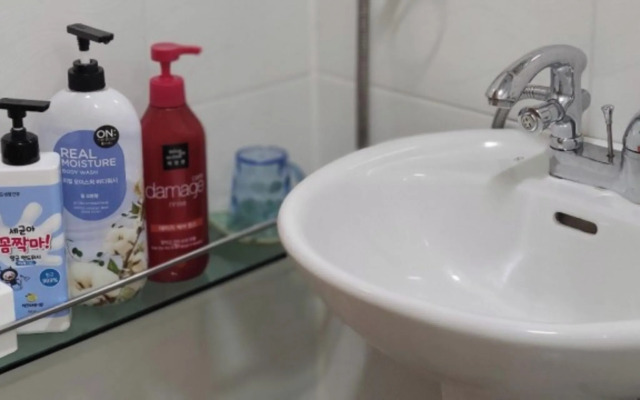 Damyang Lara 345 Pension